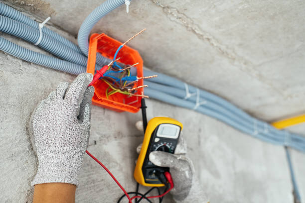 Best Electrician for Home Renovation  in Naples Park, FL